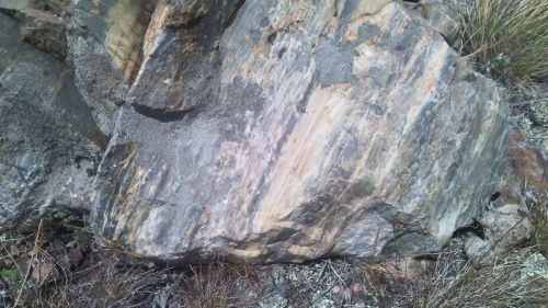 Гигантские зелёные валуны для ландшафтного дизайна весом более 5 тонн купить в Кушве